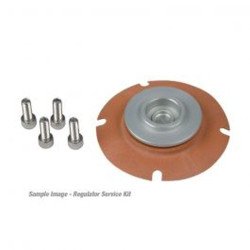 Aeromotive Efi Regulator Service Kit 13002 Aeromotive Efi Regulator Service Kit 13002